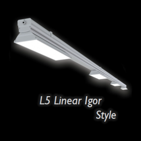 L5 Linear Igor Style